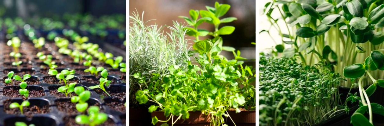 Snímka obrazovky 2026-03-04 o 10.47.22